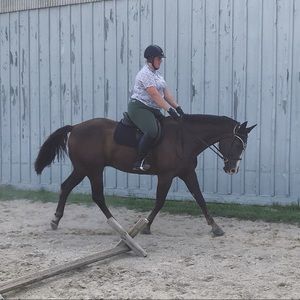 Meet your Posher, Nicole